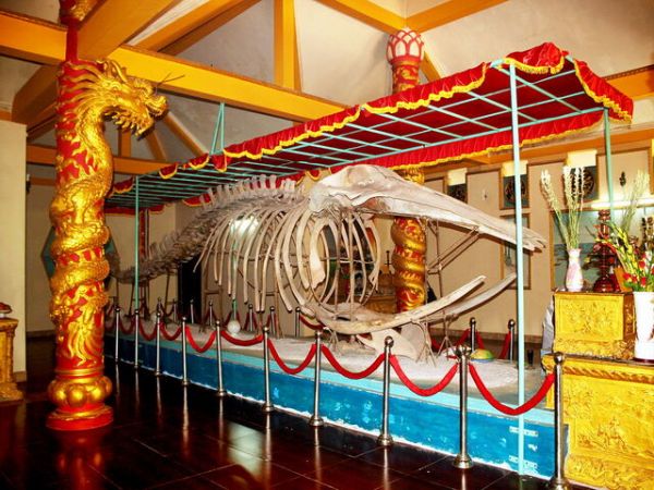 Private City Tour Vung Tau From Phu My Port